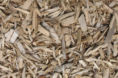 biomass boilers Dunwood