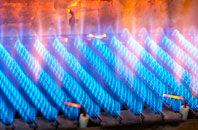 Dunwood gas fired boilers